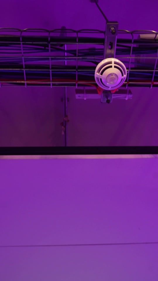 TikTok video thumbnail by viberoom_official