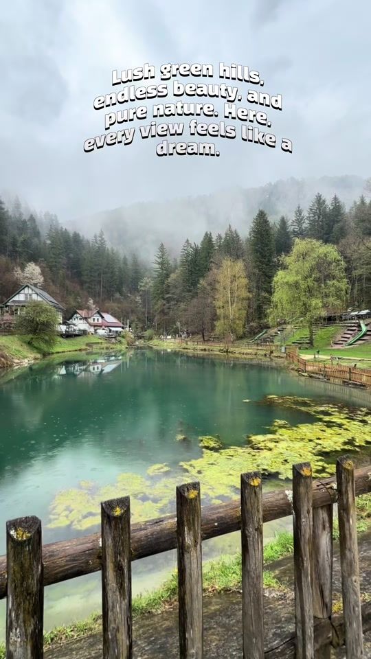 TikTok video thumbnail by hasi.dwd
