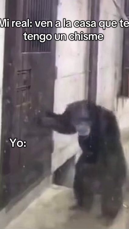 TikTok video thumbnail by joja_204