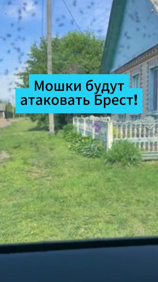 TikTok video thumbnail by belarus.now