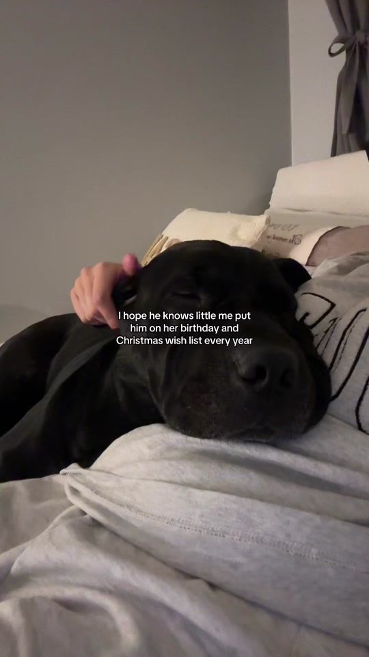 TikTok video thumbnail by linakepers