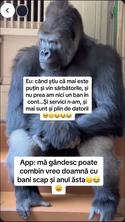 TikTok video thumbnail by pinterestdetoate