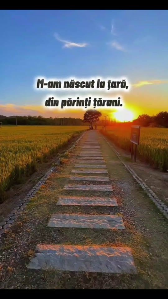 TikTok video thumbnail by brunetul86