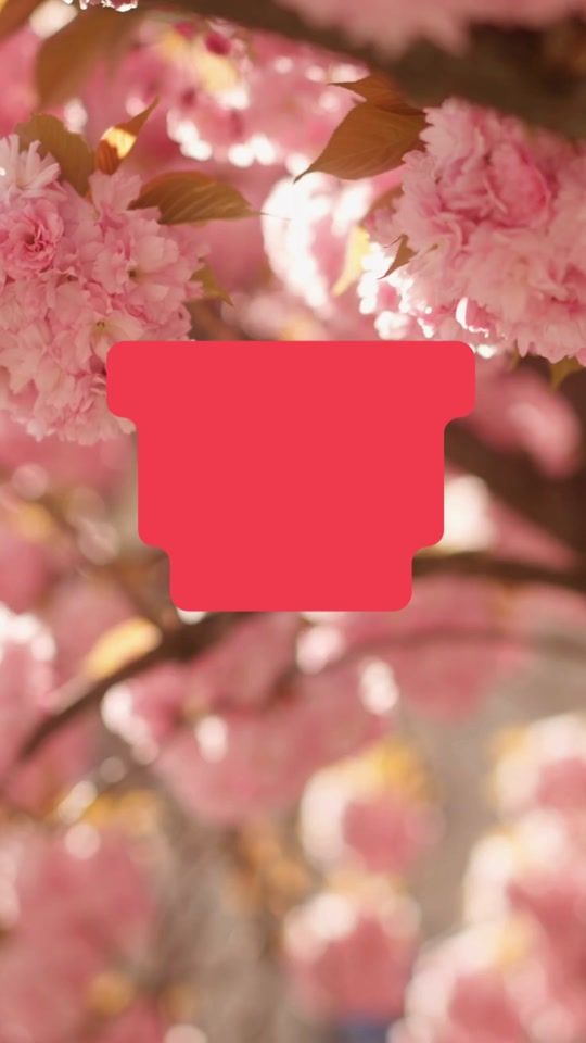 TikTok video thumbnail by cielabooks