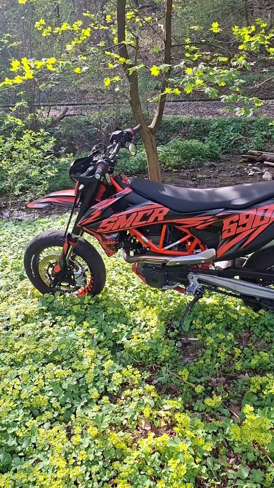 TikTok video thumbnail by vhubi7911