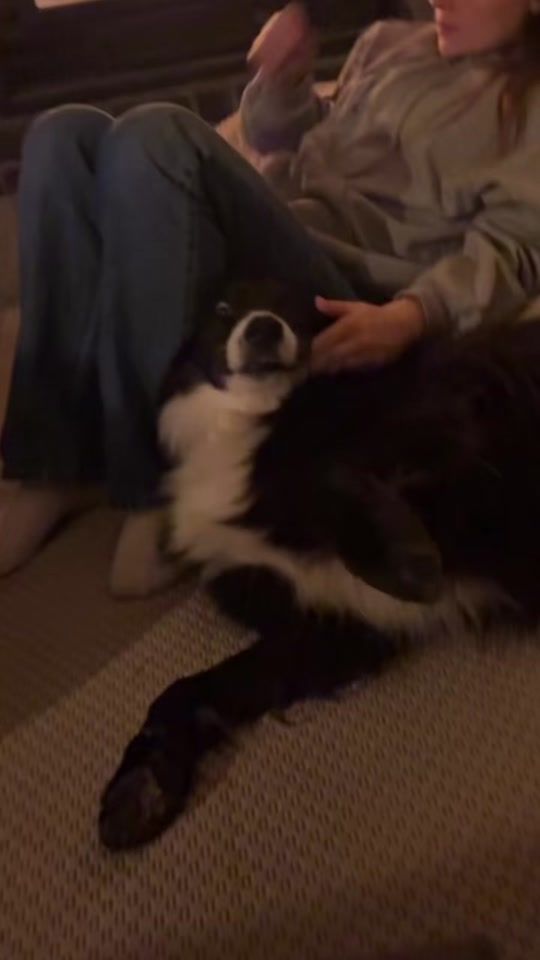 TikTok video thumbnail by oslodrama