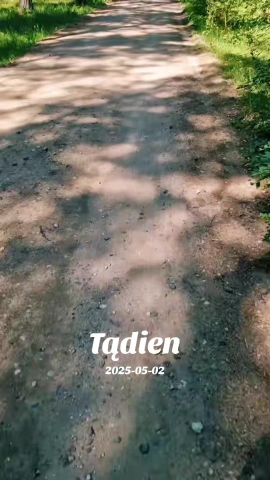 TikTok video thumbnail by drama_princes_