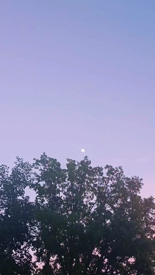 TikTok video thumbnail by moonrivertarot