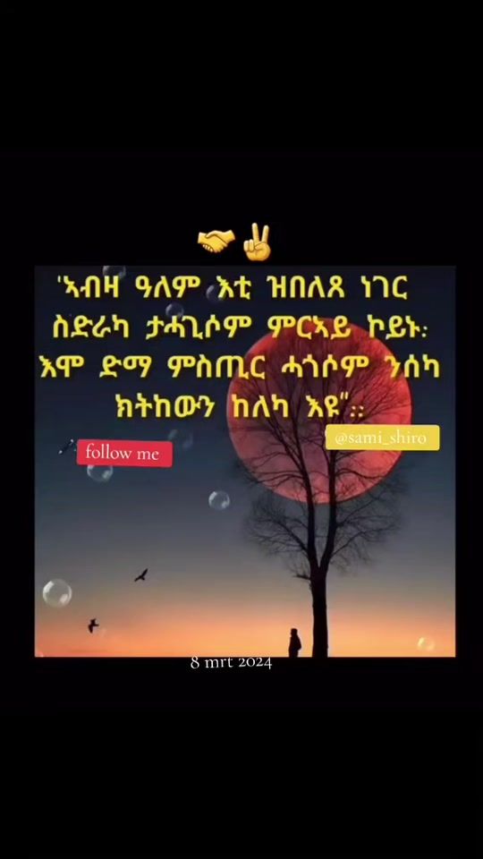 TikTok video thumbnail by sami__shiro