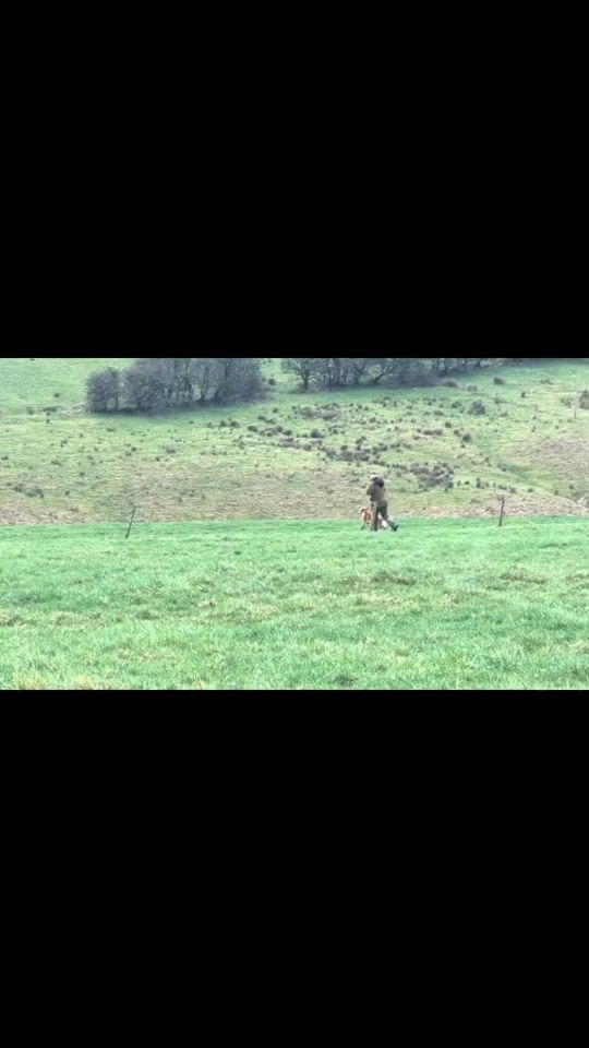 TikTok video thumbnail by thomas.delaney27