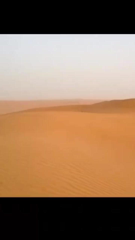 TikTok video thumbnail by snke.trade
