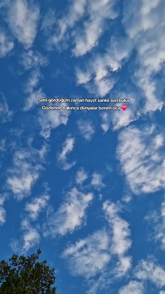 TikTok video thumbnail by sol__yanimm