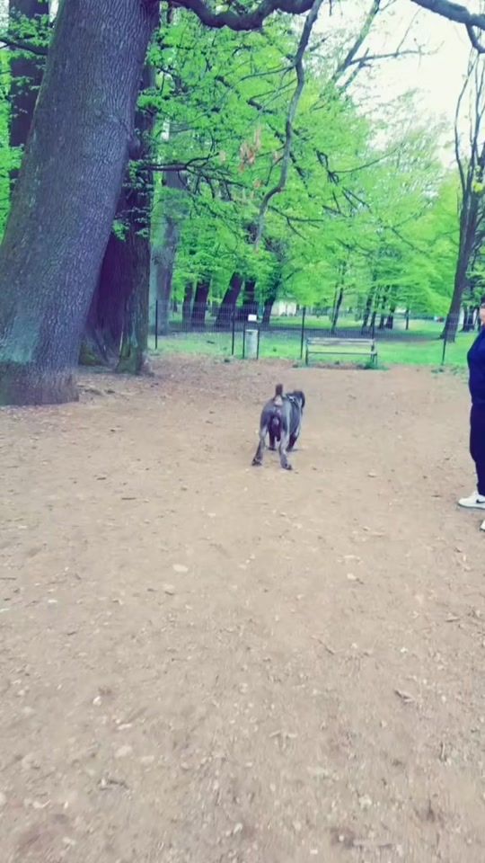 TikTok video thumbnail by linda.cadar