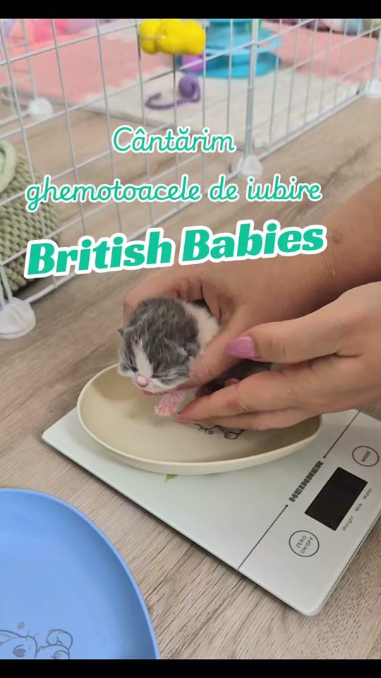 TikTok video thumbnail by promogoodvibes