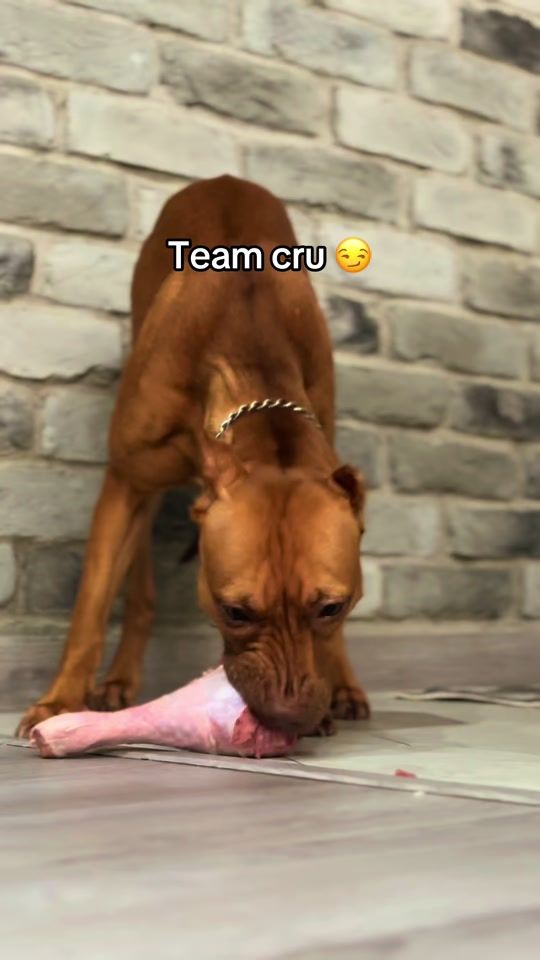 TikTok video thumbnail by daedra_freyja