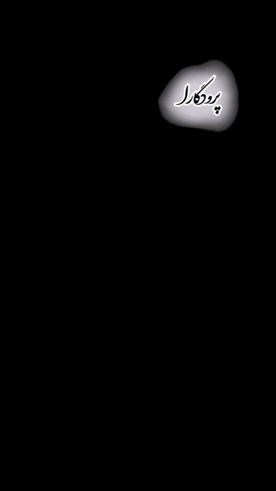 TikTok video thumbnail by shamalybozorg