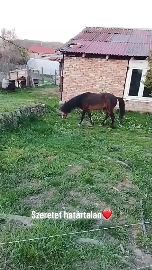 TikTok video thumbnail by bekkencs