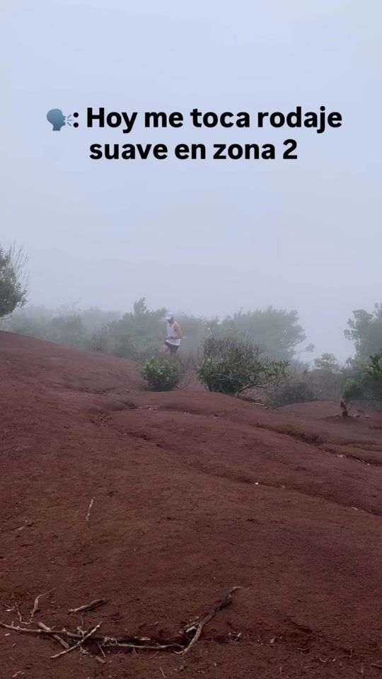 TikTok video thumbnail by braulioconrado_