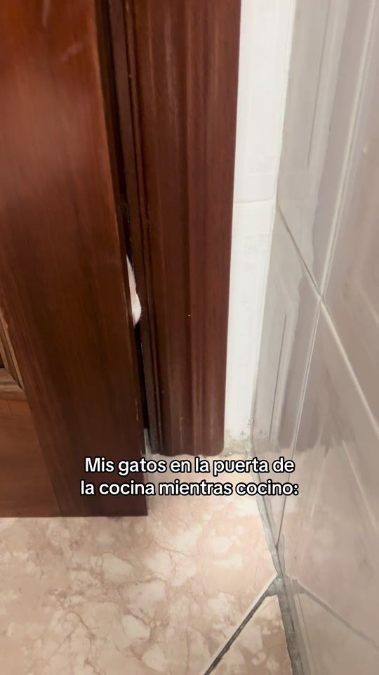 TikTok video thumbnail by yolanda13ag