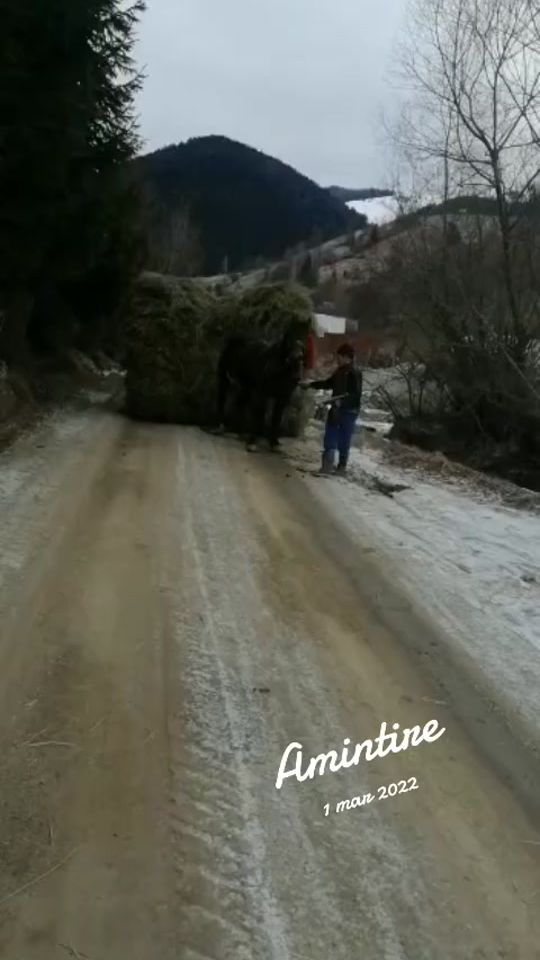TikTok video thumbnail by _s_t_e_f_a_n_22