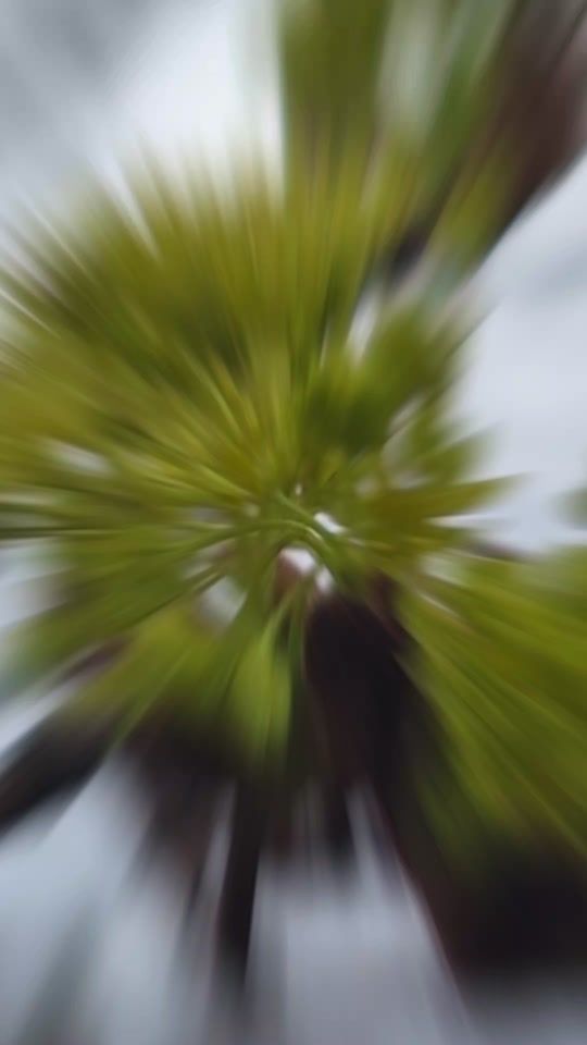 TikTok video thumbnail by anita.degle