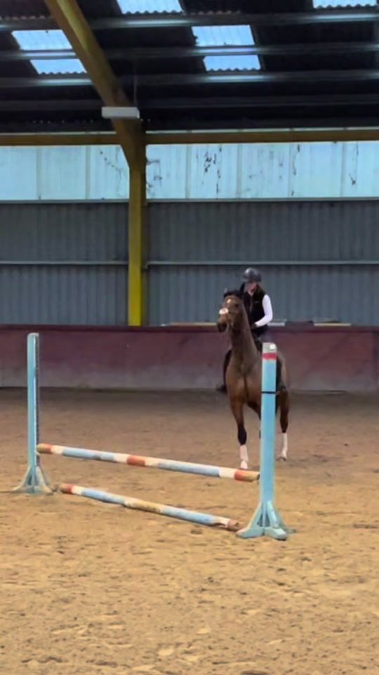 TikTok video thumbnail by madimcs.eventing