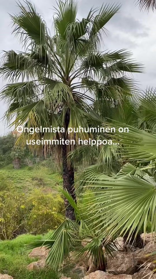 TikTok video thumbnail by sailuska74