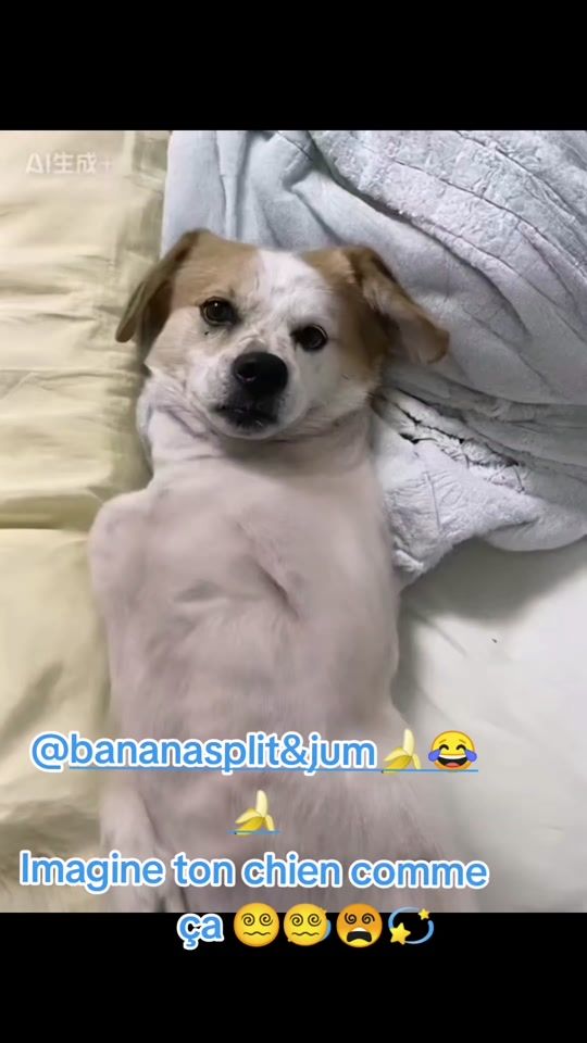 TikTok video thumbnail by ouinouin7825