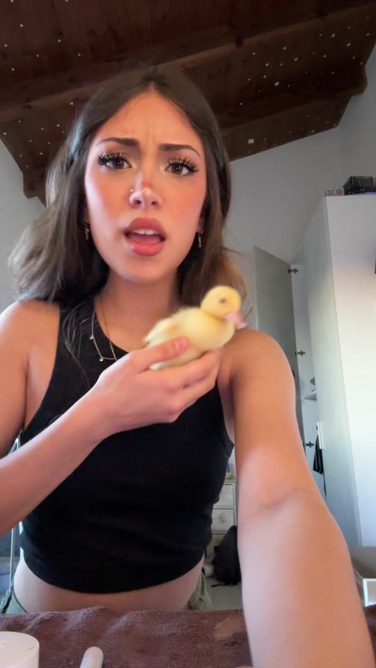 TikTok video thumbnail by _ponzzojulia_