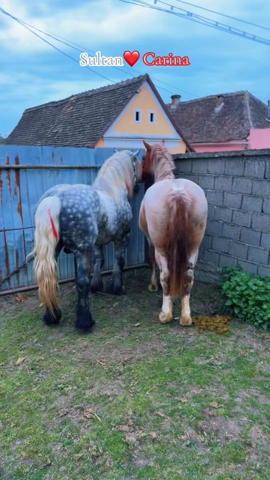 TikTok video thumbnail by _agro.farm_