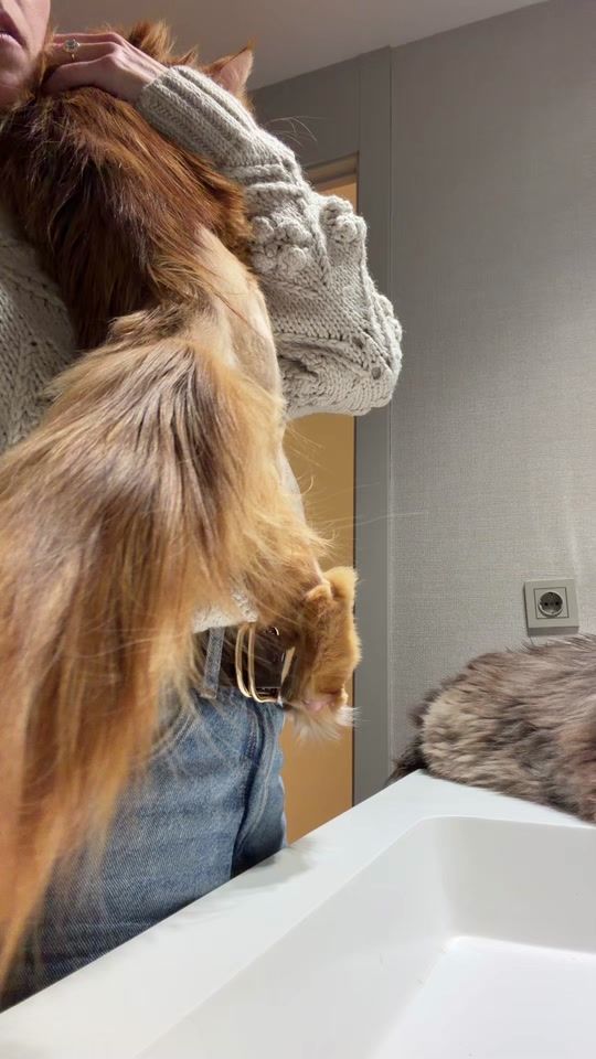 TikTok video thumbnail by claudichii