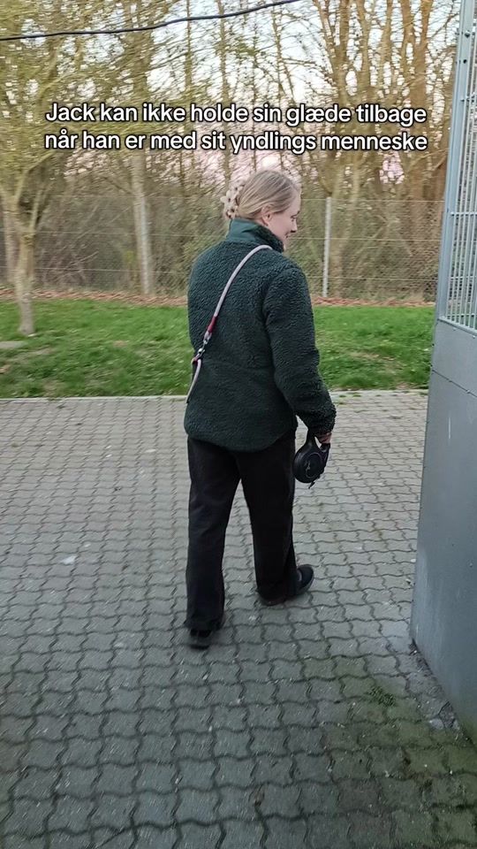 TikTok video thumbnail by roskildeinternat