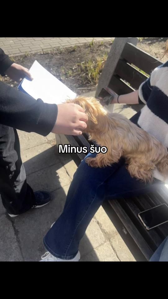 TikTok video thumbnail by ajcberemu