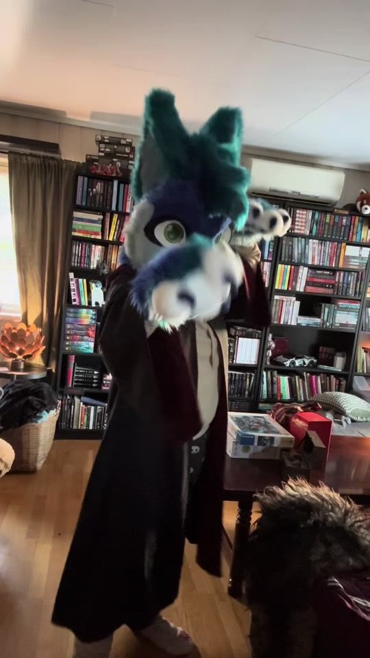 TikTok video thumbnail by fetchpuppy