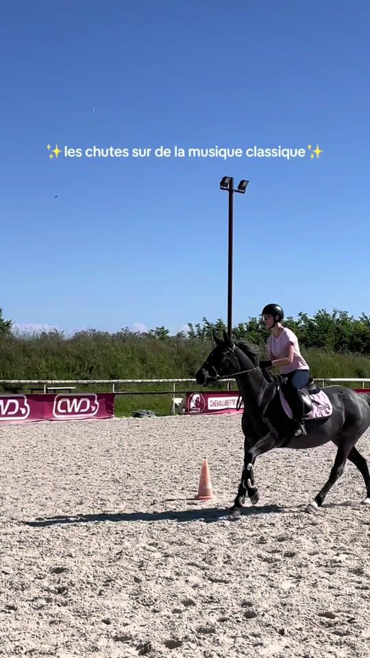 TikTok video thumbnail by evwithhorse