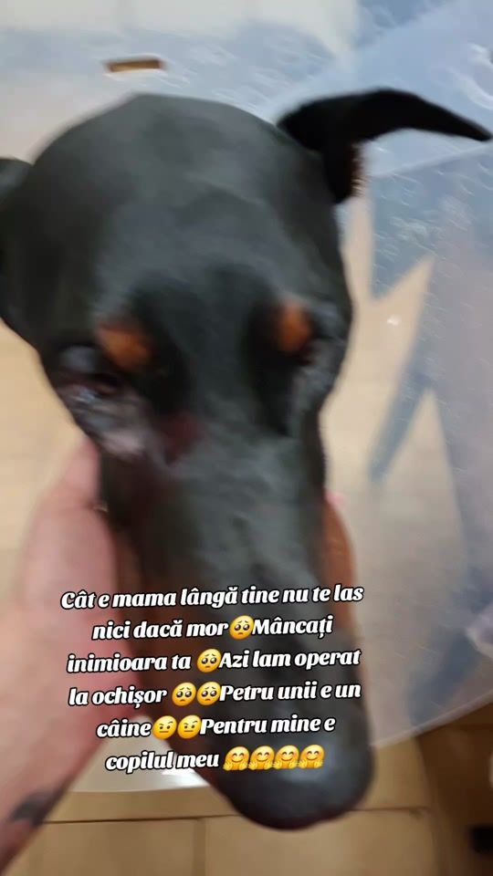 TikTok video thumbnail by corina_karina0