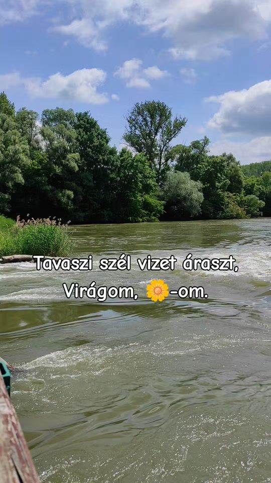 TikTok video thumbnail by ovitv01