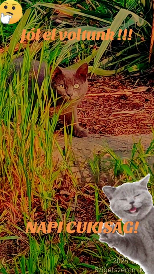 TikTok video thumbnail by aniko4966