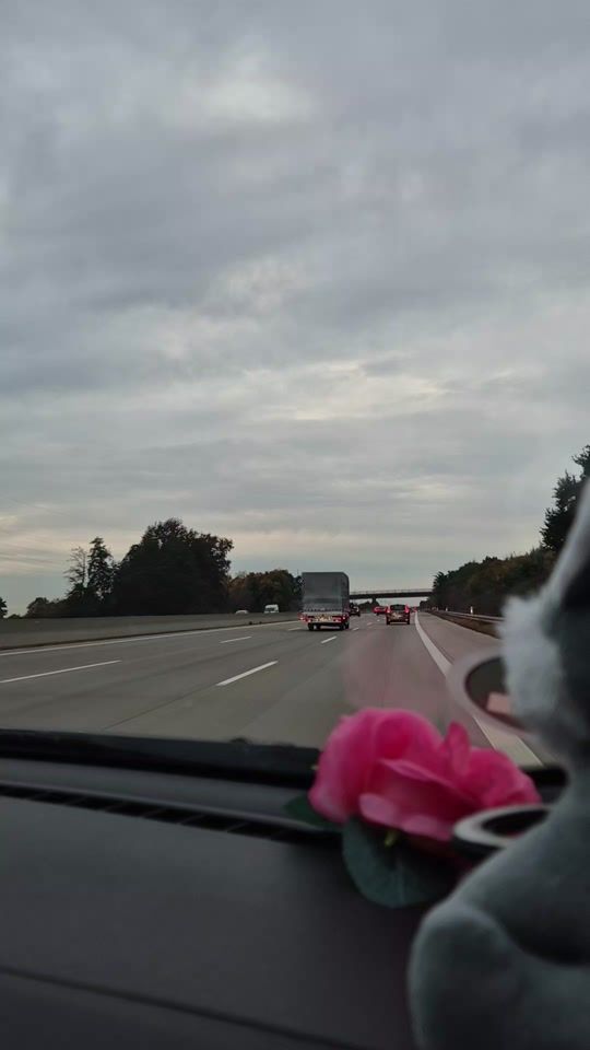 TikTok video thumbnail by niknikola01