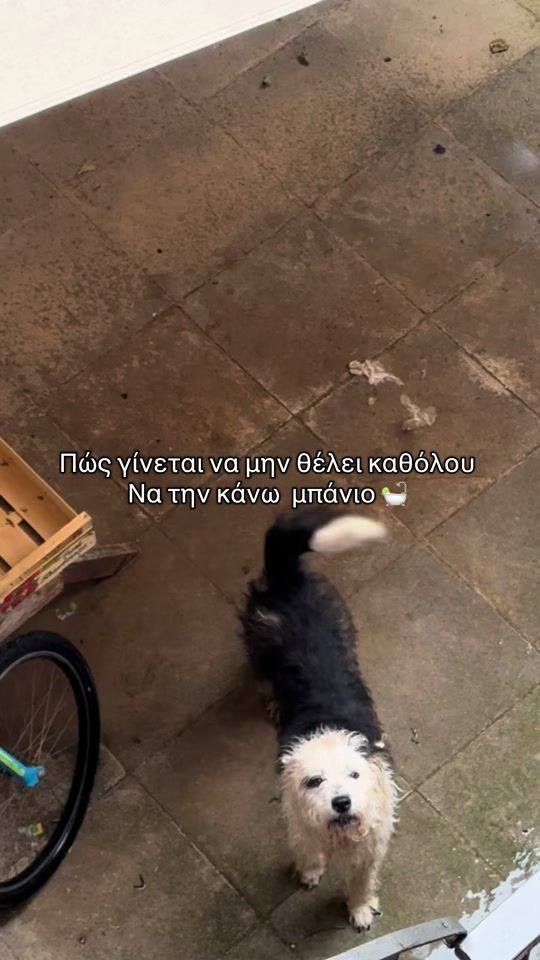 TikTok video thumbnail by taf.ni