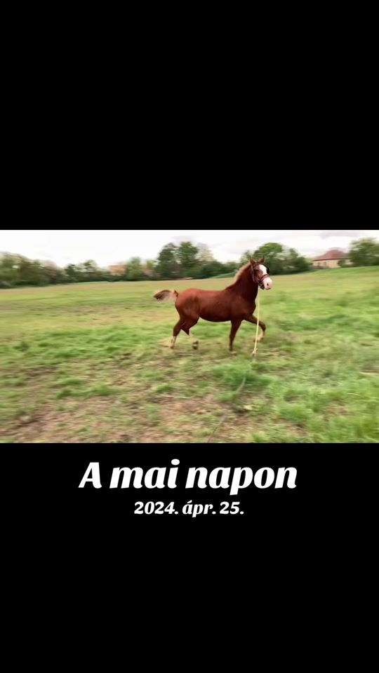 TikTok video thumbnail by j_laszlo