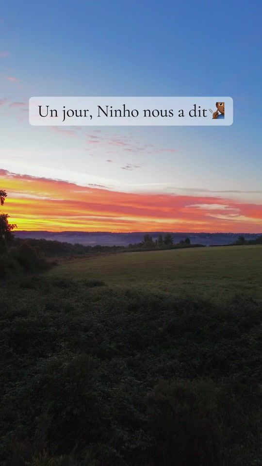 TikTok video thumbnail by viincentg