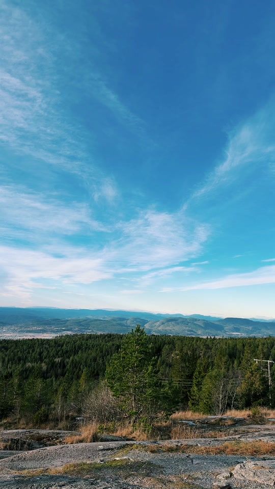 TikTok video thumbnail by laorolafsen9