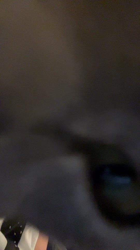TikTok video thumbnail by donloki5
