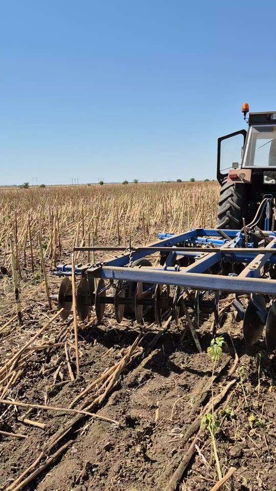 TikTok video thumbnail by floreaviky