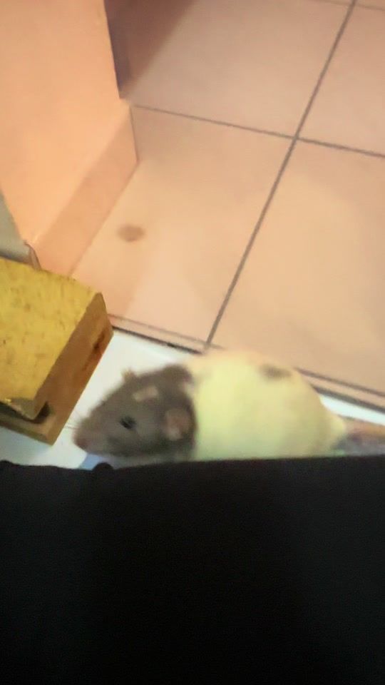 TikTok video thumbnail by marieta.2811