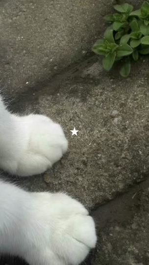 TikTok video thumbnail by leana._.fb