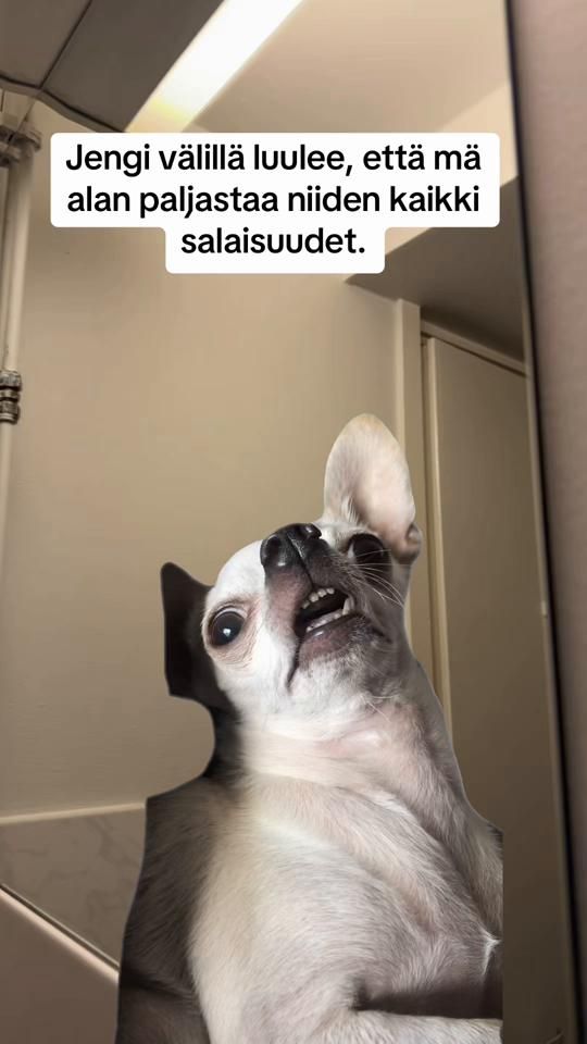 TikTok video thumbnail by bigmama.fi