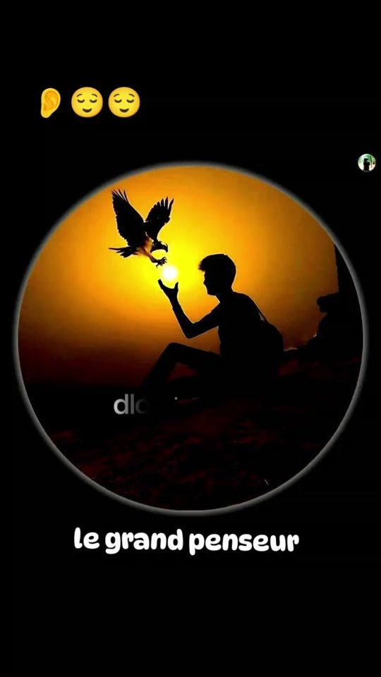 TikTok video thumbnail by tivensky370