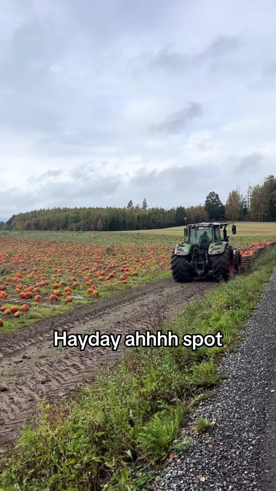 TikTok video thumbnail by annabelrefvik1